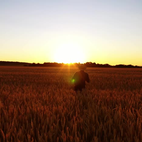man in field of wheat