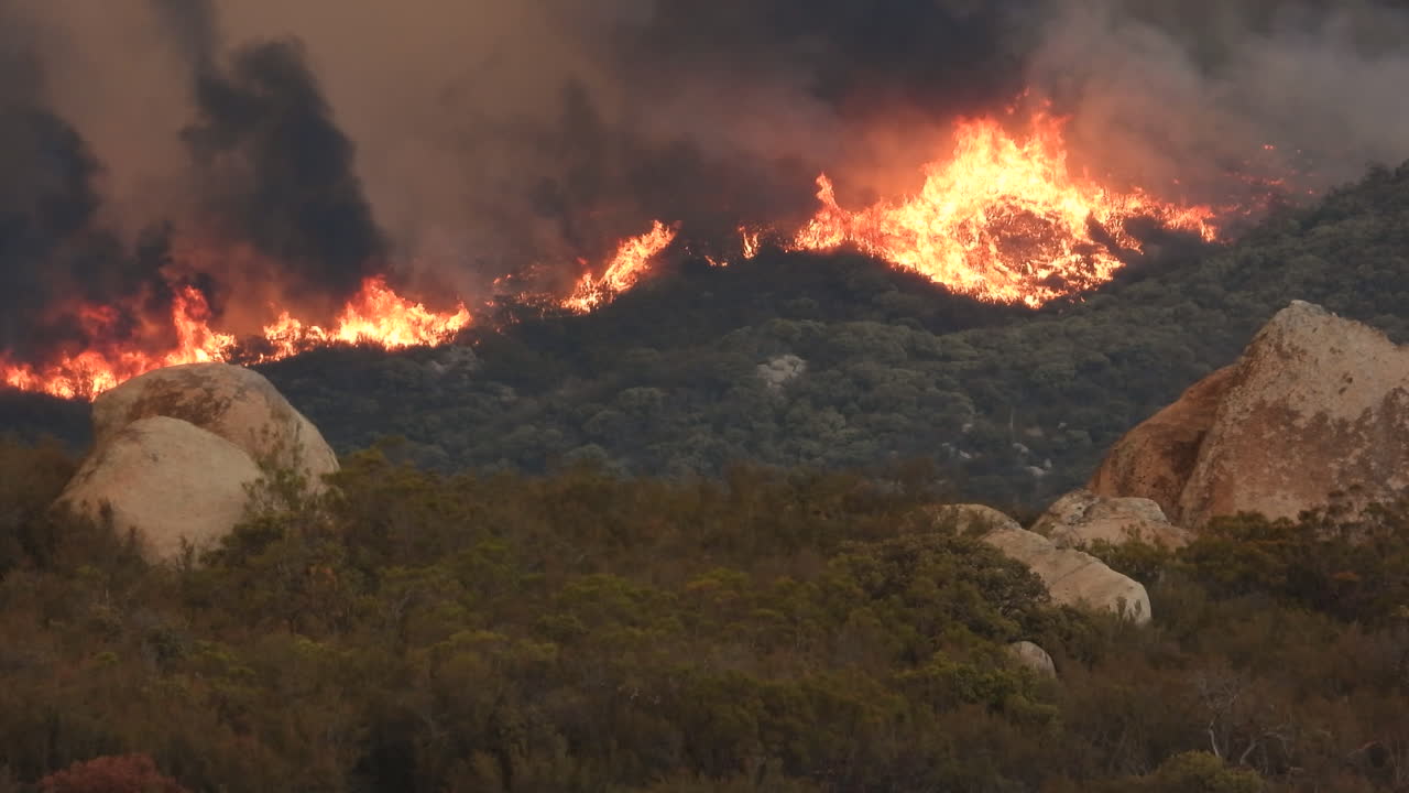 llamas de incendios forestales que envuelven y queman bosques en el fuego de fairview en hemet california