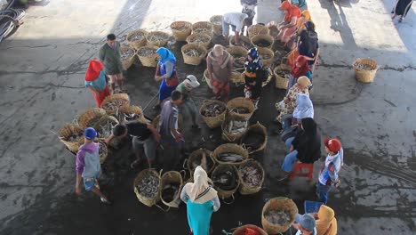 top view of the fish market. the auction process for marine fish caught by fishermen in the port of mayangan, probolinggo-indonesia. december 2019