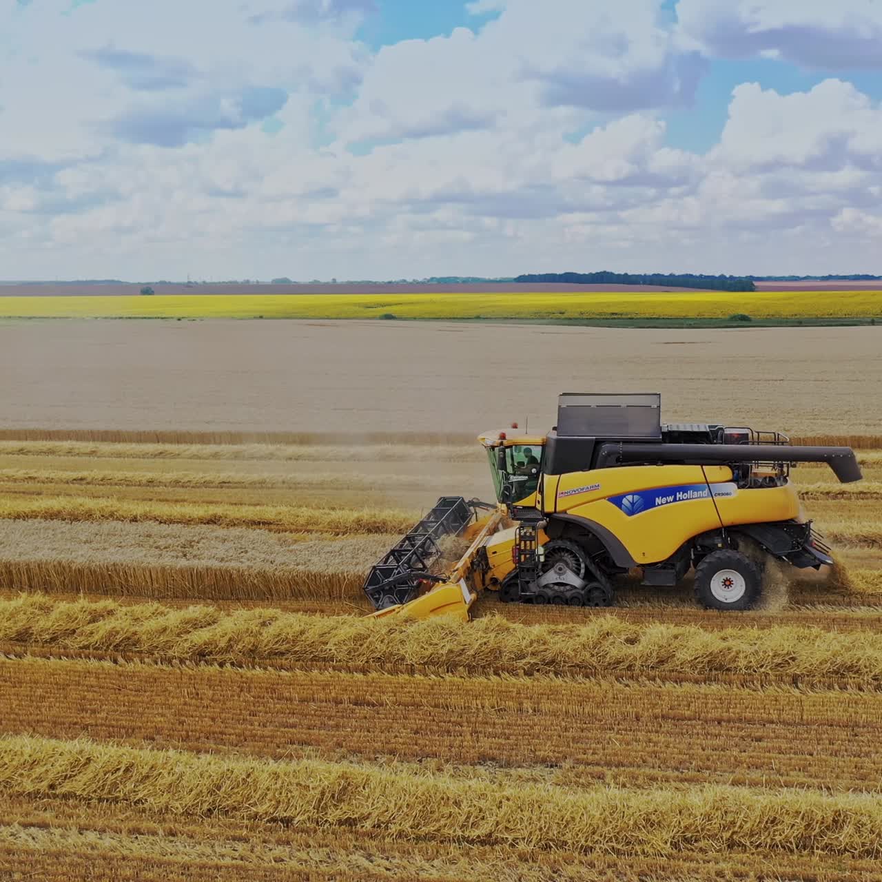 Harvesting grain field