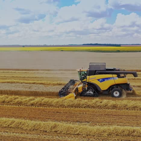 harvesting grain field