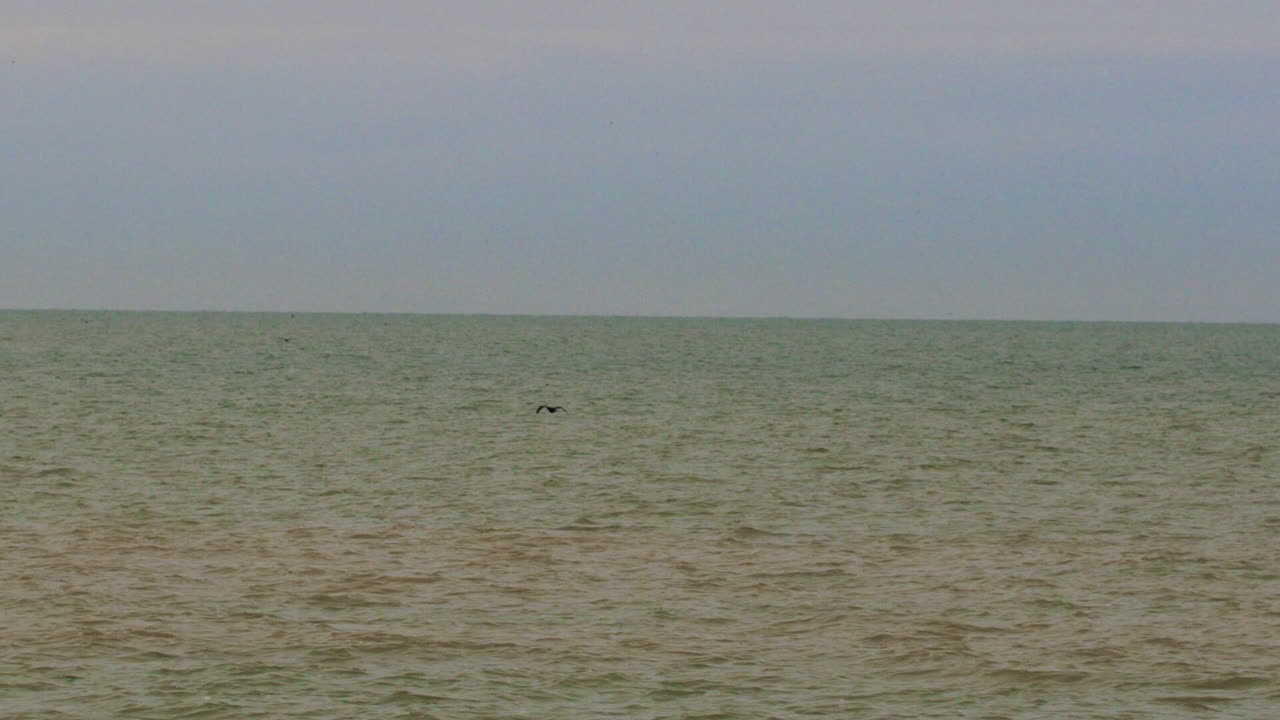 서서히 움직이는 푸른 푸른 호수 물 위를 날아다니는 바다 새