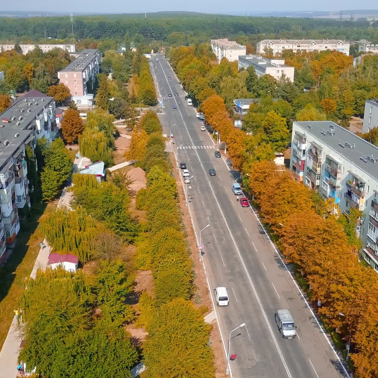 Empty road with bright trees on the sides in the city on sunny day. Drone footage over the street in the residential area