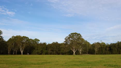 timelapse of changing light in a peaceful field