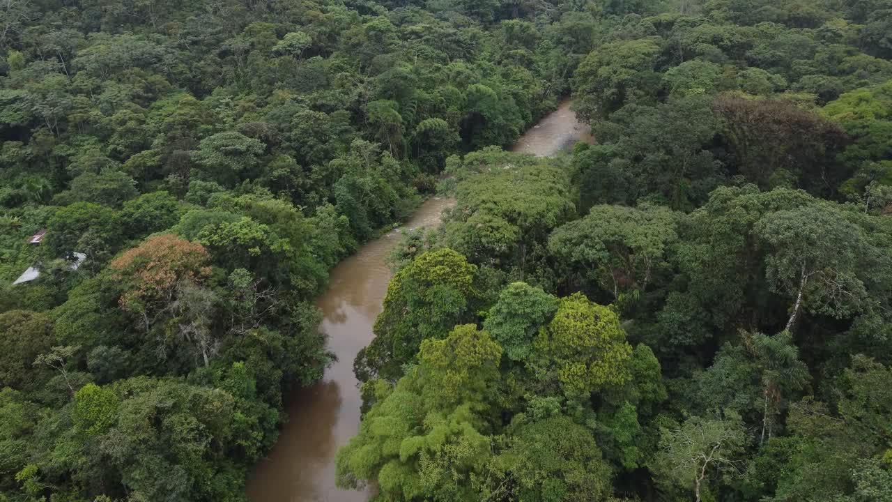 vista aérea del río en la selva tropical amazónica verde