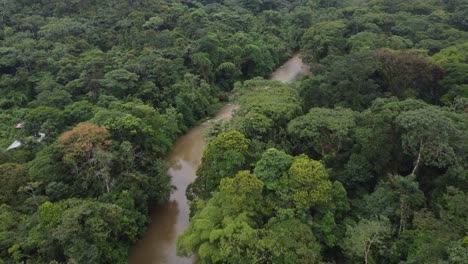 aerial view river in tropical amazonic green rainforest