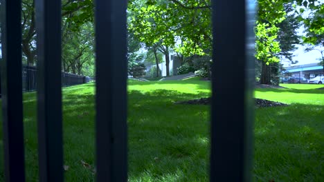 mirando a través de una valla metálica a un exuberante césped en el centro de grand rapids
