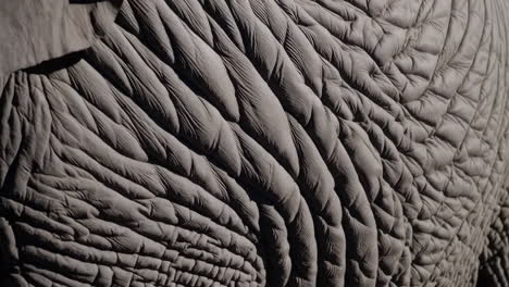 close-up of elephant skin