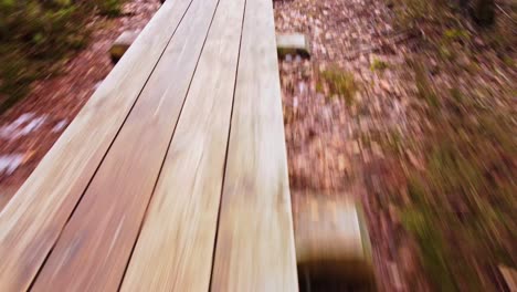 old wooden pathway in forest area, fast motion forward