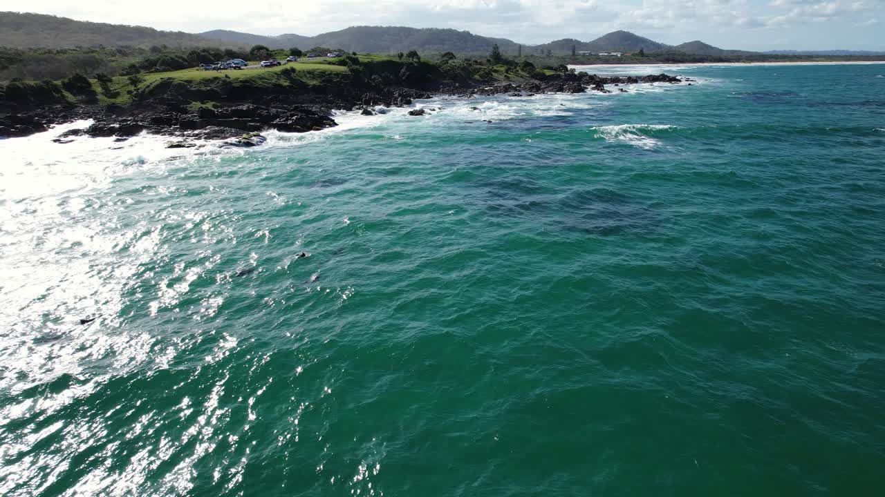 Tursiopi a Hastings Point, Nuovo Galles del Sud, Australia - Scatto con drone