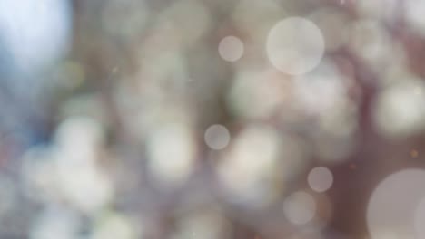 abstract spring background with bokeh