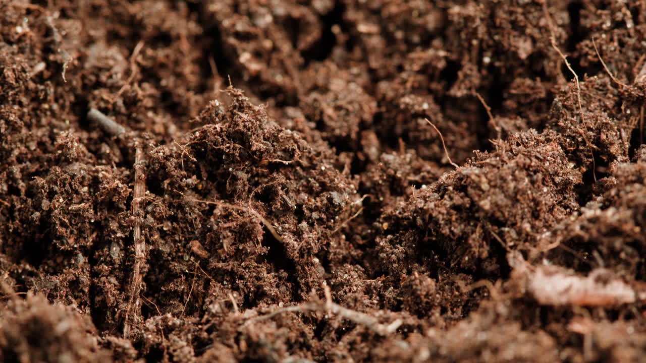 Closeup of soil texture
