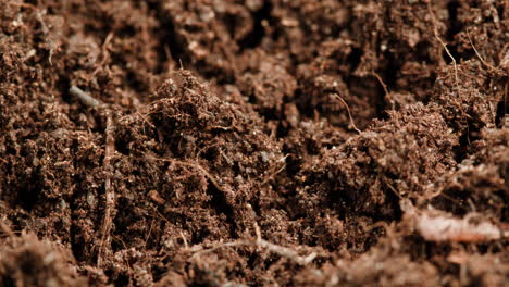 closeup of soil texture