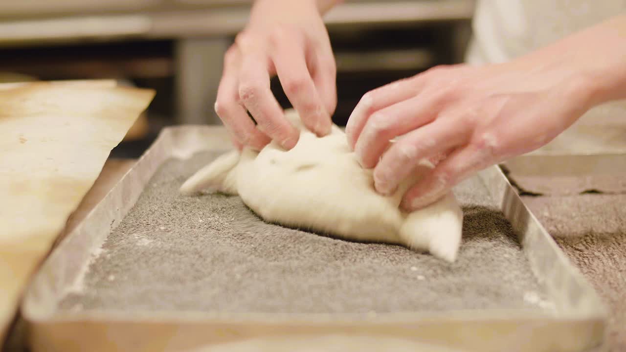 Bakery dough rolled in poppy seeds