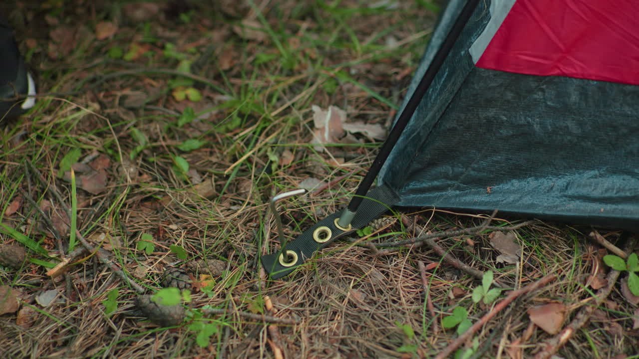 camper drives metal stake through tent grommet into forest ground using big stick while securing base of red and gray camping tent among dry pine leaves and scattered branches in wooded campsite
