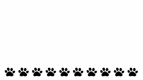 un lindo video de bucle animado de huellas de patas de animales en movimiento.