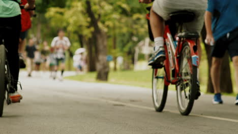 crowd of urban population enjoying early morning walk, exercising and riding bicycle early in park during the weekend break recreational activities