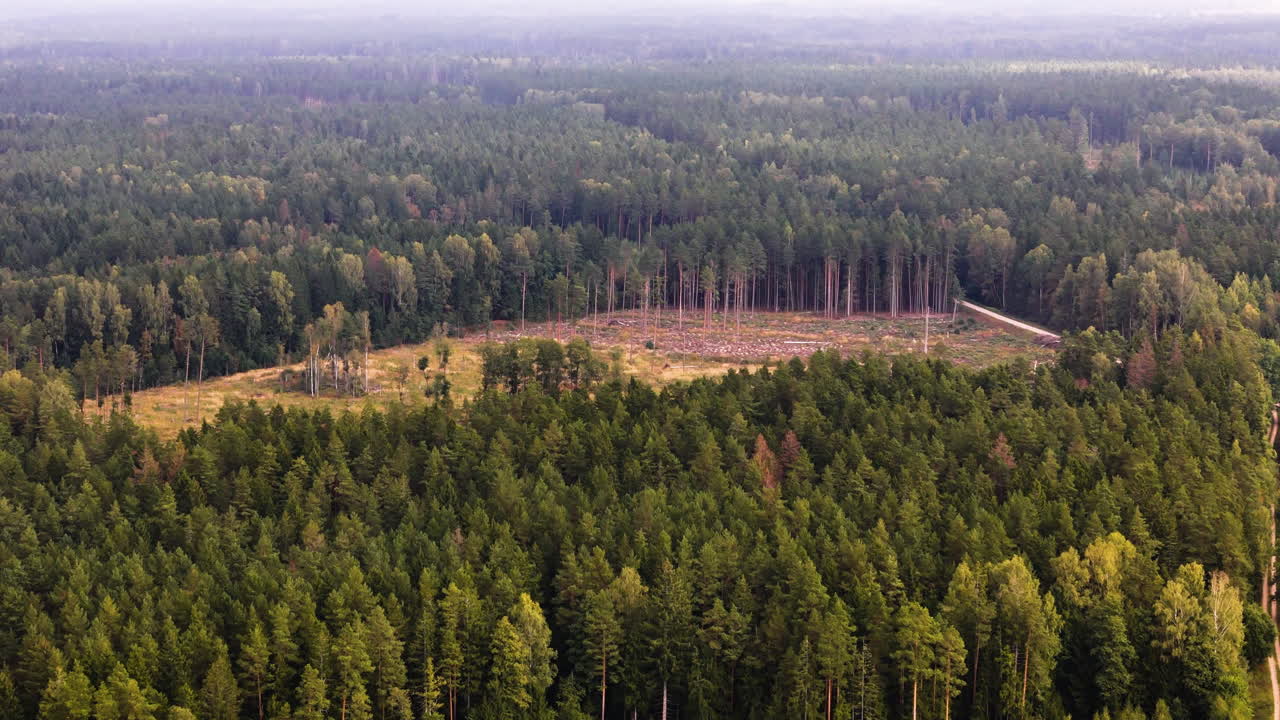 Aerial View Of Forests With Cut Down Trees Cleared For Agriculture Use In Latvia.