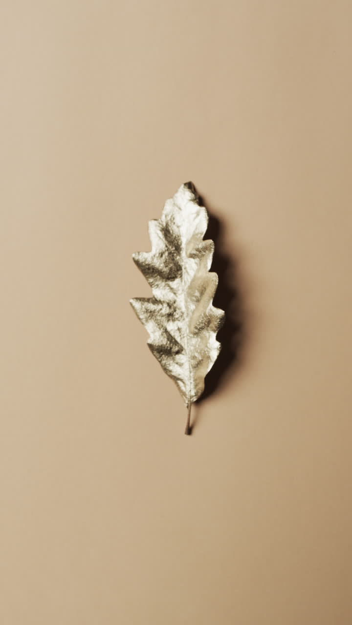 Vertical video of halloween gold autumn leaf with copy space on brown background