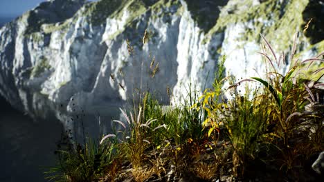 Frisches-Gras-An-Einer-Großen-Felsigen-Klippe-Im-Ozean