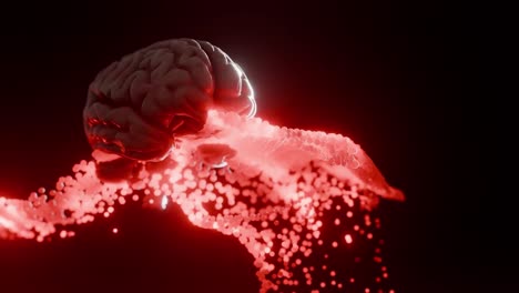 Human brain with glowing red energy waves on dark background. 3D render of anatomical model and neural stream. Artificial intelligence and neuroscience concept. Design for poster, wallpaper.