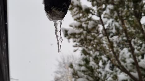 Nahaufnahme-Von-Eiszapfen,-Die-Tropfen,-Während-Sie-Schmilzt,-Während-Schnee-Im-Hintergrund-Fällt