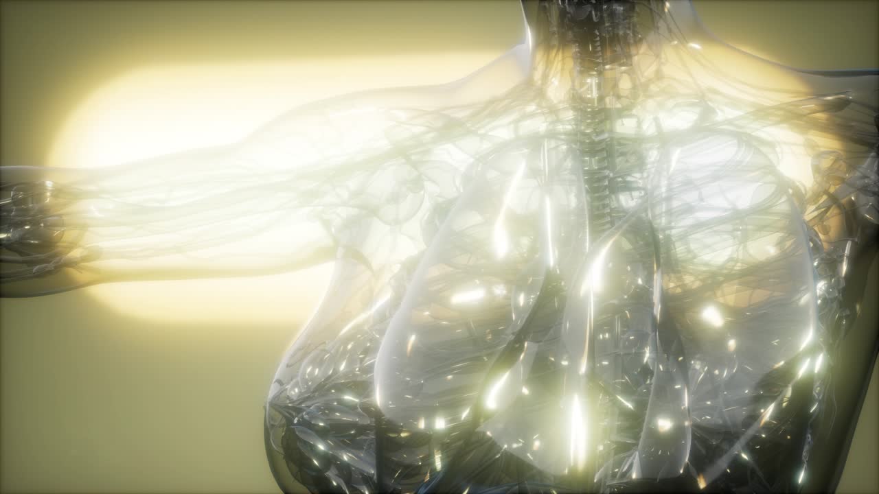 imagen de rayos x del cuerpo humano