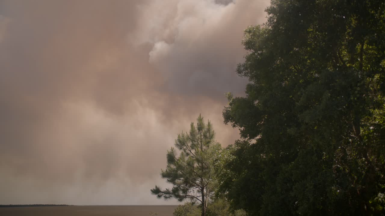 산타로사 카운티의 5 마일 습지 화재