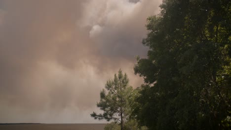 Five-Mile-Swamp-Feuer-Im-Santa-Rosa-County-Ab-Mai-2020