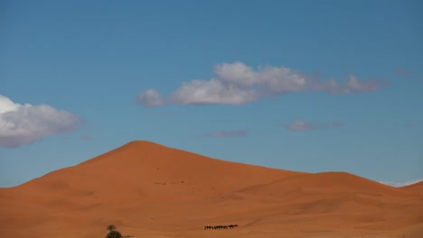 desierto de merzouga 15