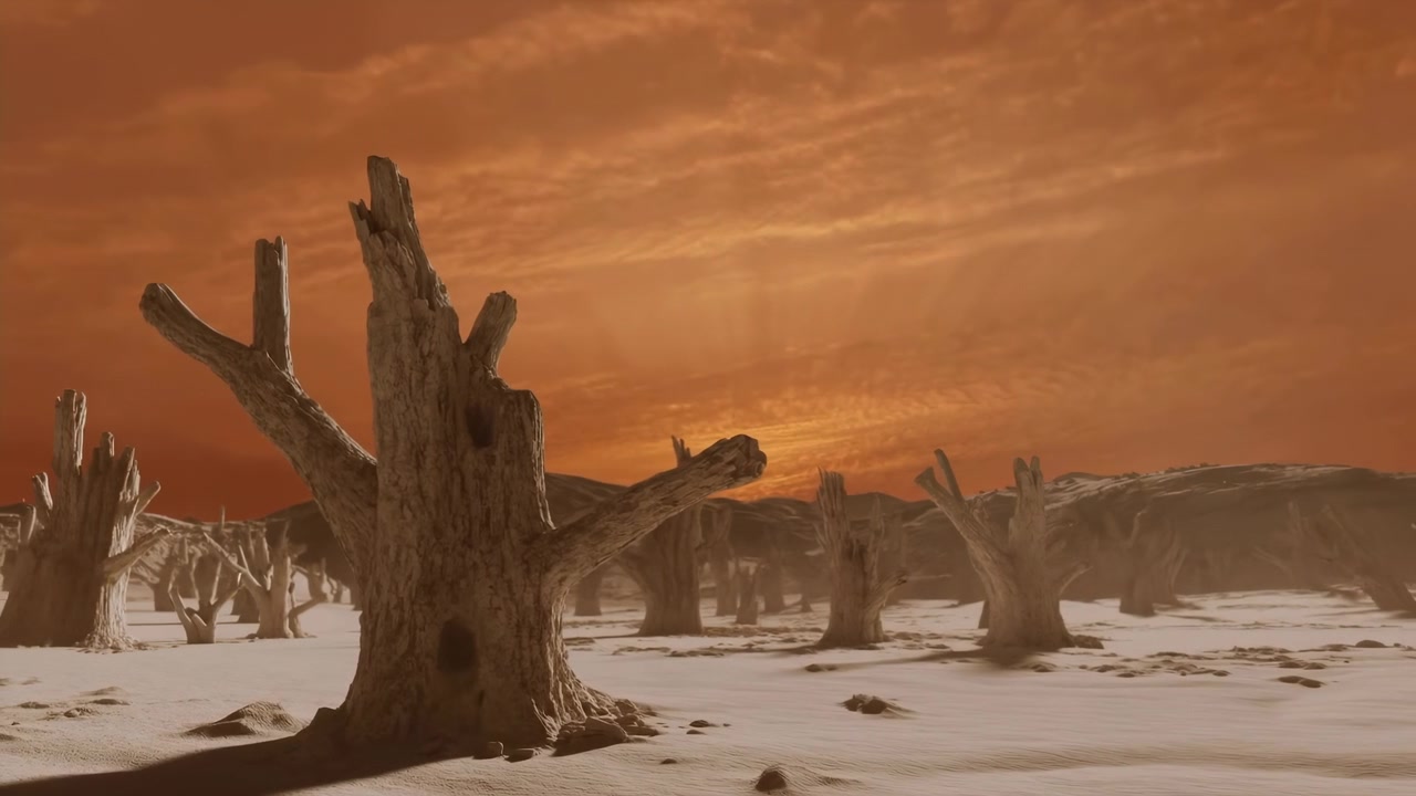 Salt Flat With Dead Tree Stumps Under Fiery Sky, Windscoured Cracked Ground, Weathered Trunks, Long Shadows