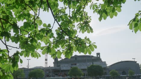 sun flare behind leaves overlooking zurich construction site