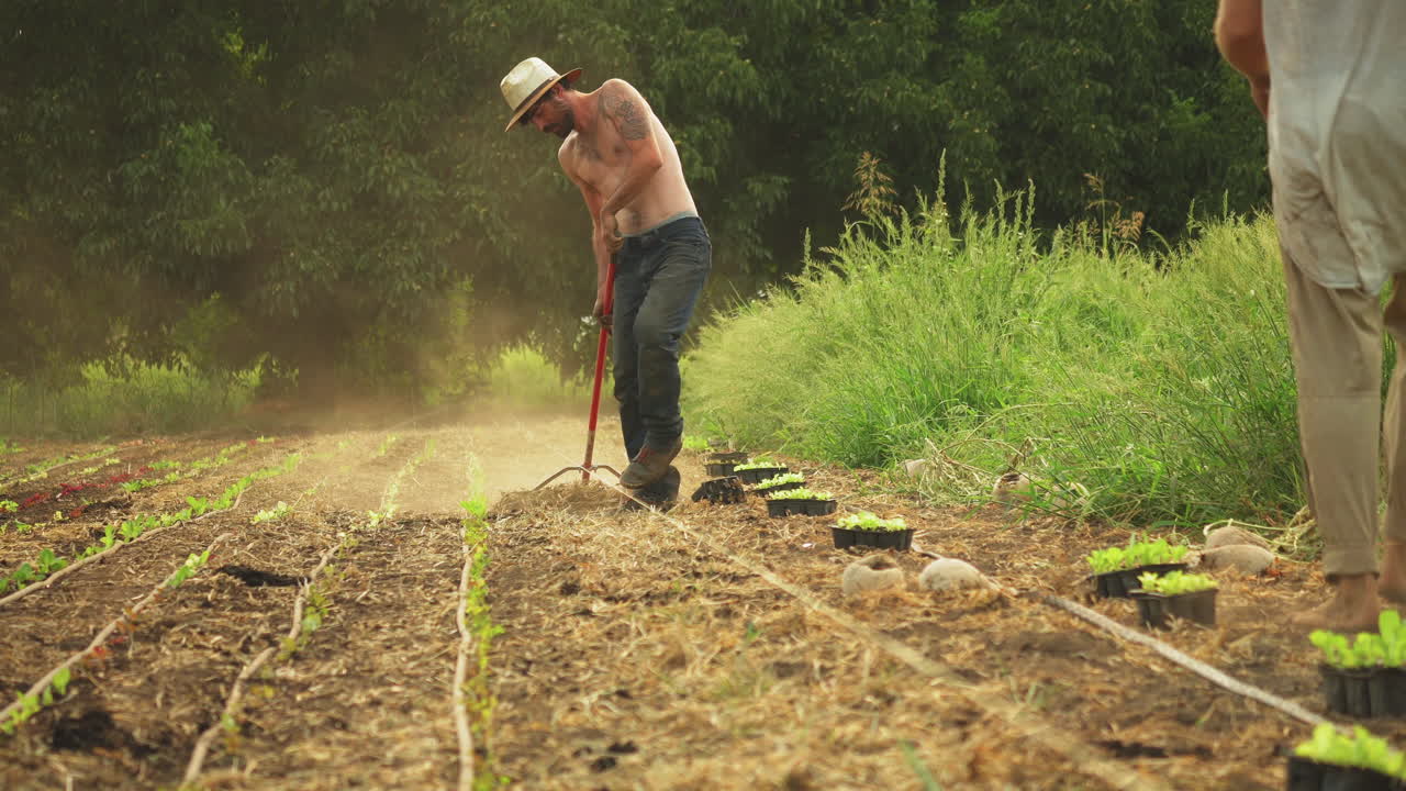 Low angle shot of a farmer with no shirt on a sunny day working on a farm dirt patch