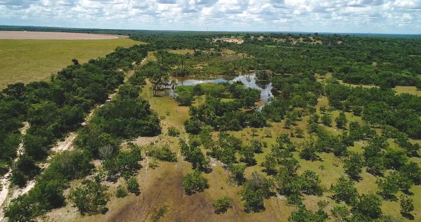 Freshwater lagoon surrounded by cerrado vegetation and cattle pasture within the Urucuia River basin near Arinos, Minas Gerais, Brazil in the northwestern Cerrado region. Drone forward flyover