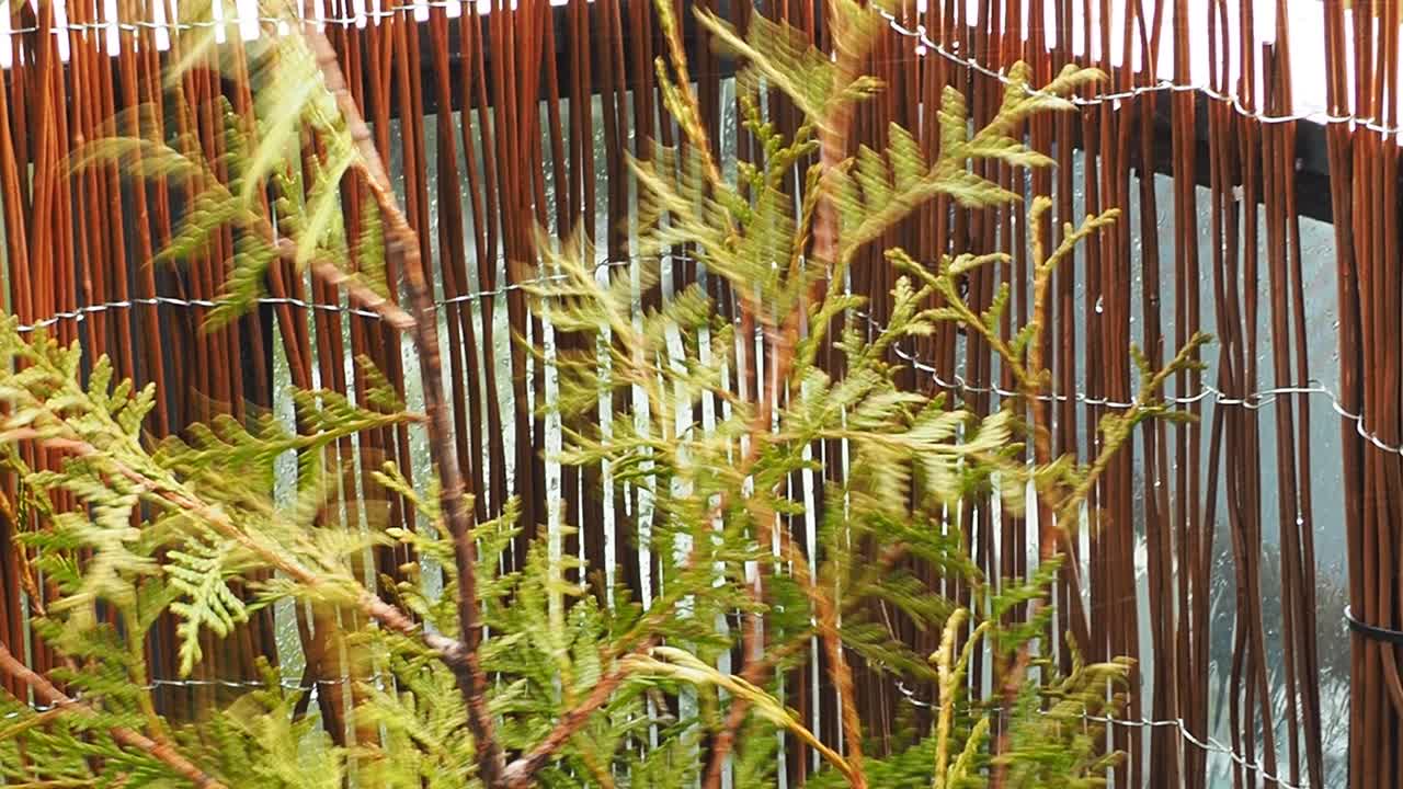 도시에서 비가 오는 날