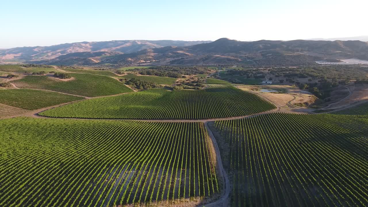 Bella ripresa aerea di vigneti collinari nella regione vinicola della denominazione Santa Rita in California 27