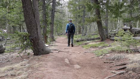 lone male hiker walking away from the camera on a remote mountain trail. filmed in staunton state park during the spring.