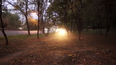 Biker-rides-a-motorcycle-cross-country-between-trees-or-forest-with-turned-on-headlight-on-high-speed