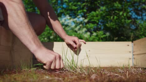 person removing little grass inside a wooden box for raised garden bed