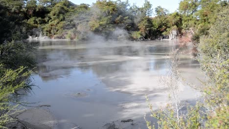 hot bubbling mud pools on new zealand's volcanic active north island