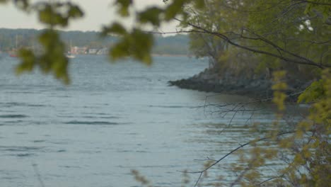 Focus-reveal-of-the-sound-shore-with-rocks