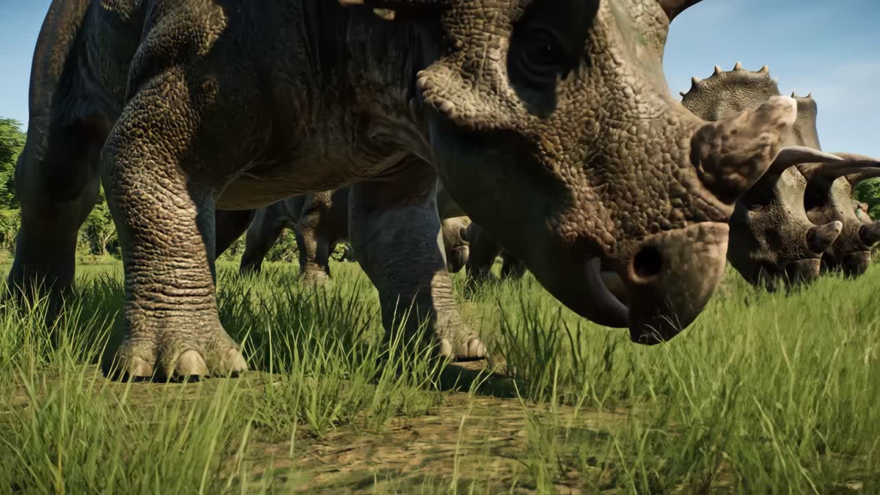 Sinoceratops Dinosaurs in Natural Habitat