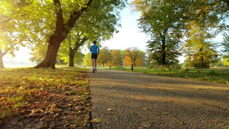 runner man running outdoors in park