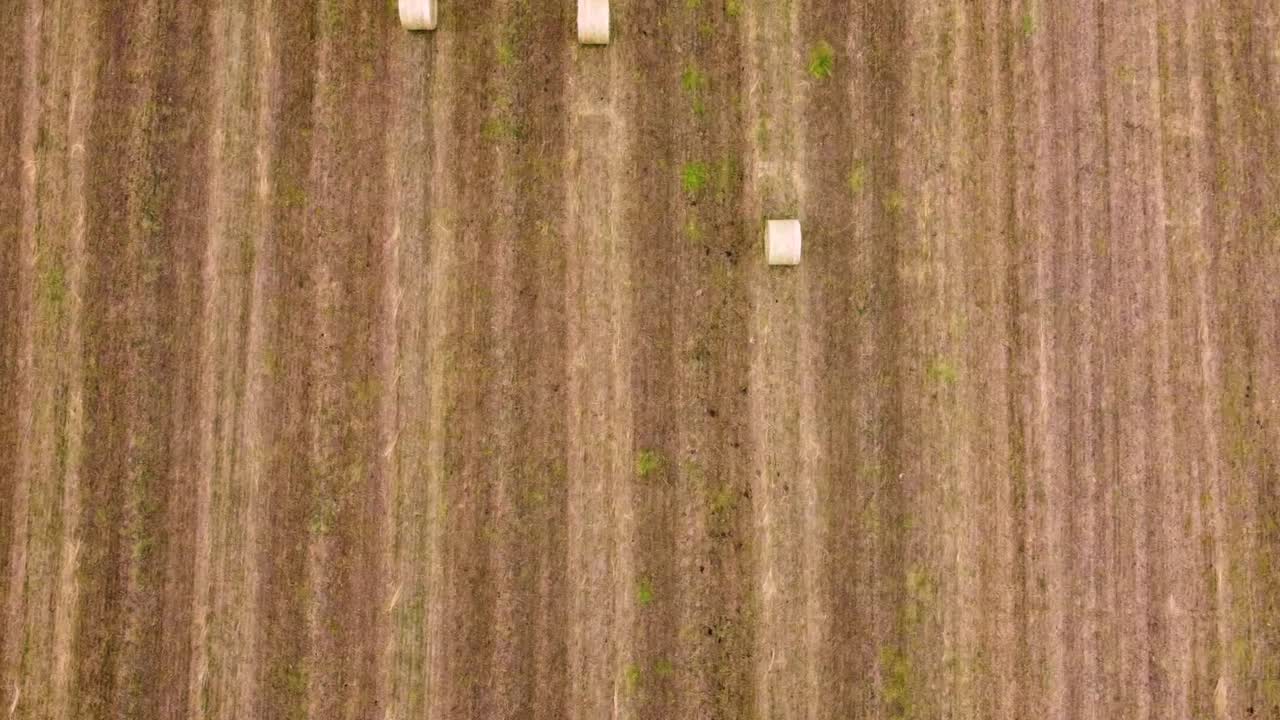 최근에 수확한 건초 더미의 오버헤드 뷰