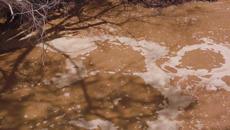 close up of a geothermal bubbling mud pool in rotarua, new zealand