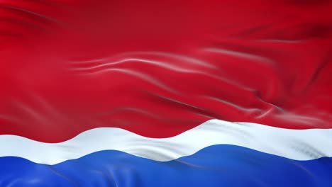 amur oblast (federal subject of russia) flag waving in the wind with highly detailed fabric texture. seamless loop