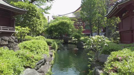 hermosa mañana en el jardín natural de asakusa, japón.