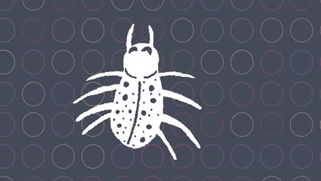 animation of white insect on grey background with white rings