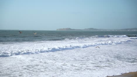 Many-birds-flying-by-at-the-beach,-Half-Moon-Bay