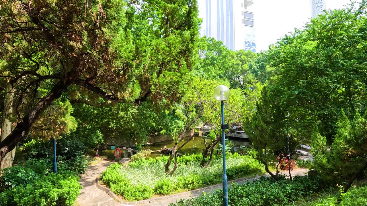 la vegetación exuberante y los caminos en el parque de hong kong